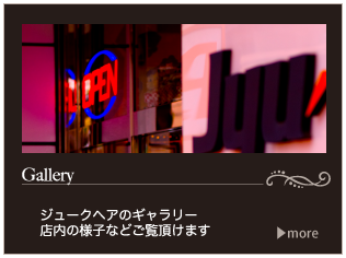 ジュークヘアのギャラリーへ